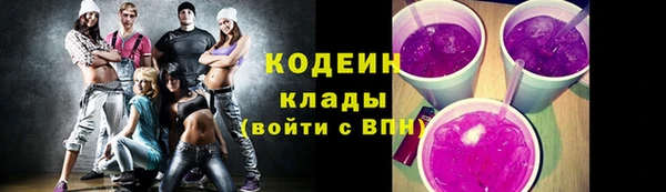 прущие крисы Горняк