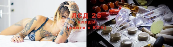 прущие крисы Горняк