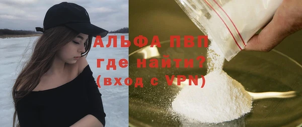 прущие крисы Горняк