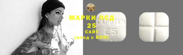 прущие крисы Горняк