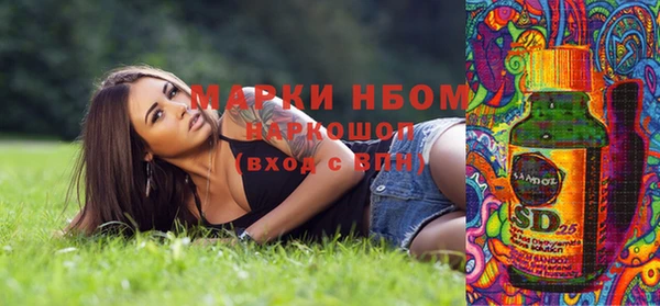 мдпв Горнозаводск