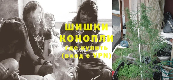 прущие крисы Горняк