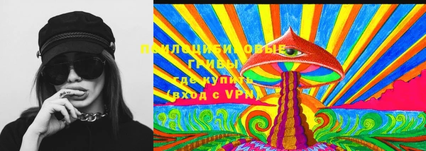 прущие крисы Горняк
