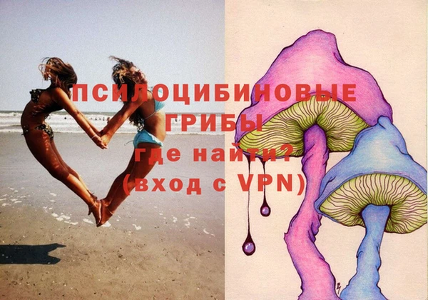 прущие крисы Горняк