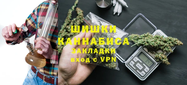 мдпв Горнозаводск