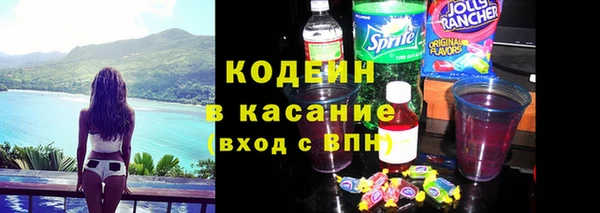 прущие крисы Горняк