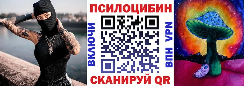 Псилоцибиновые грибы Cubensis  Тамбов 